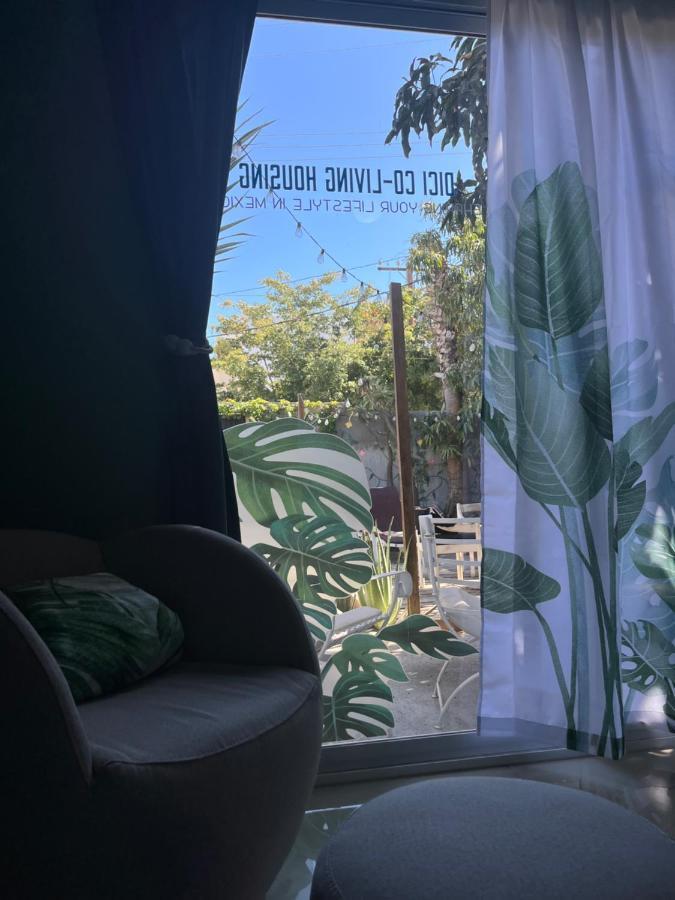 Dici Co-Living Housing Cabo San Lucas Exterior foto