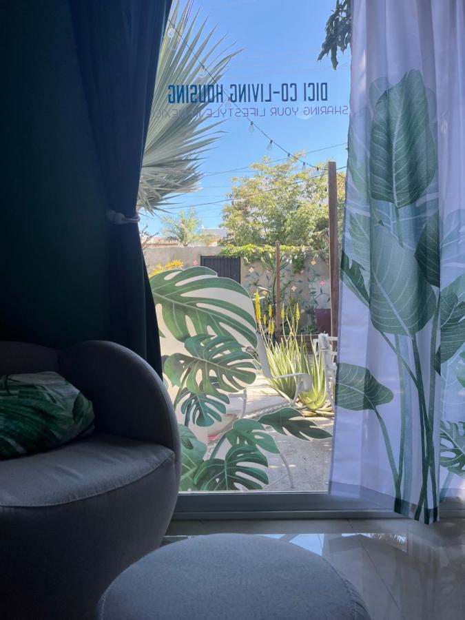 Dici Co-Living Housing Cabo San Lucas Exterior foto